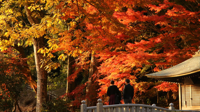 法多山 尊永寺